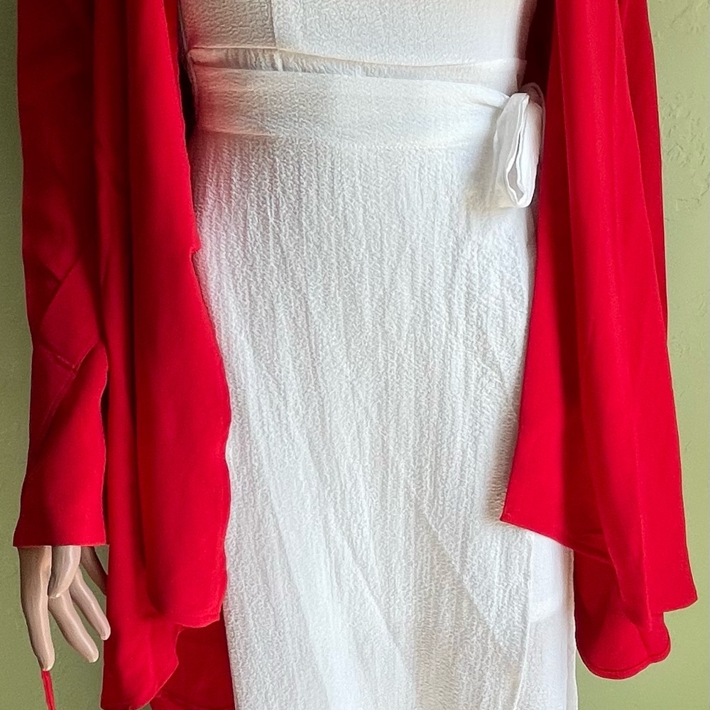 Beautiful blazer - Picture 6 of 13